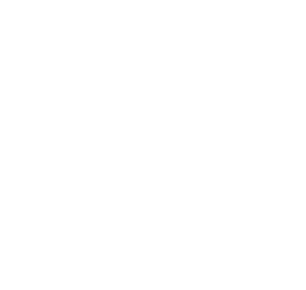 孵化陪跑服务